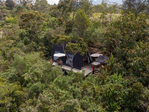 Ecoluxury Glamping
