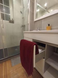 Appartements Le Blue IVY Hyper centre 2 chambres Tout equipe : photos des chambres