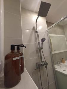 Appartements Le Blue IVY Hyper centre 2 chambres Tout equipe : photos des chambres