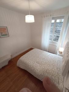 Appartements Le Blue IVY Hyper centre 2 chambres Tout equipe : photos des chambres