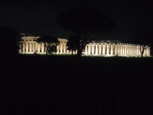 Il Giardino di Athena 1