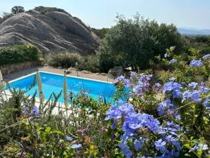 Art Villa - Punta Molara