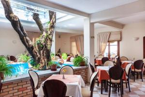Aeolos Hotel Skopelos Greece