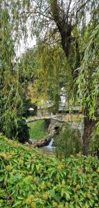 Maisons de vacances Chateau d-hote : photos des chambres