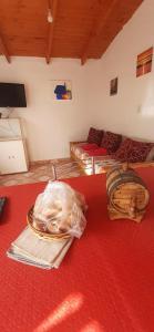 Hospedaje PIEDRA BUENA