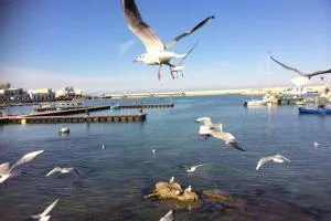 Annette Rooms - Bari Palese