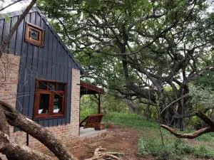 Bethesda Mountain Lodge - Hebron