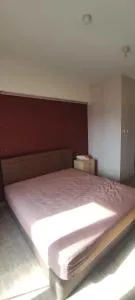 Puri Park View Apartemen - Petir