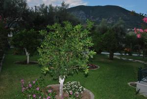 Niriton Pension Lefkada Greece