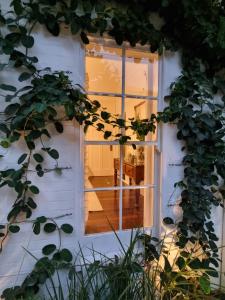 Edward Lodge New Fam