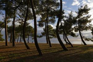 Maisons de vacances 700m plage d'Ares- Jardin et pins, maison pour 4 : photos des chambres