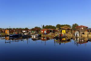 Maisons de vacances 700m plage d'Ares- Jardin et pins, maison pour 4 : Maison de Vacances