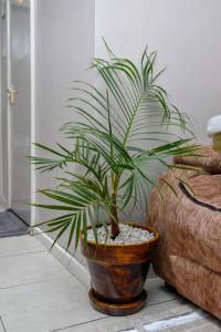 Cozy Studio With A Rooftop Pool in Nairobi-JoJo Homes