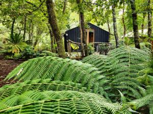 Campings Camping Aux Couleurs du ferret : photos des chambres