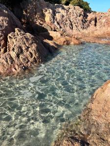 Li Pintaderi img7