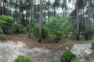 Logement entier : appartement en résidence - Lacanau, France