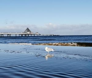 Meeressterne Hotel Weißes Schloß