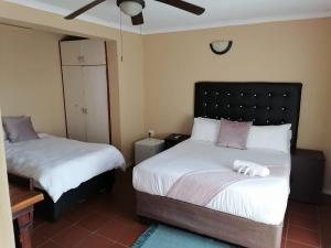 Butterfly tree guesthouse