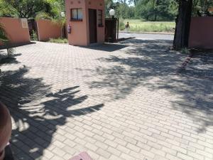 Butterfly tree guesthouse