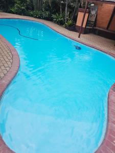 Butterfly tree guesthouse