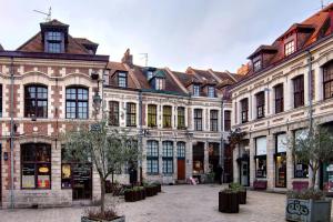 Appartements Quiet 1 bedroom apartment parking Old Lille : Appartement 1 Chambre