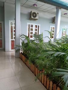 MOTEL MINH TÂM 28