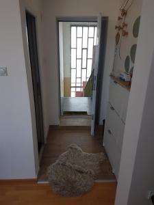 Apartman VUK