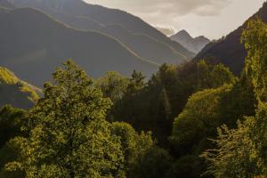 Wild Valley Garden Paradise in Valle Onsernone