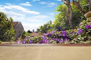 Porto Bello - Apartamento - 5