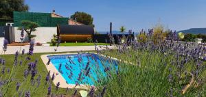 Villas La pepite d-amour : photos des chambres