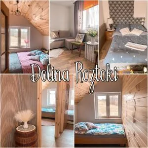 DOLINA ROZTOKI-mieszkanie,pokoje lub domek z lokalem na poddaszu - Bircza
