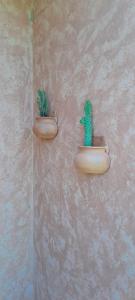 Cantal Bed & Breakfast