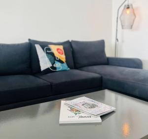 Le Lion Grand T4 vue sur la mer, clim et parking