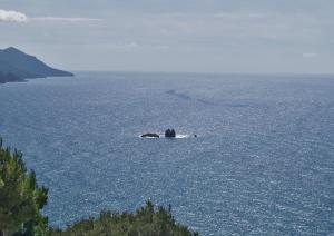 Studio Apartments with large swimming pool and Sea view at Pelekas Beach, Corfu