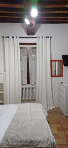 Casina 31