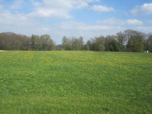 Ferienwohnung Mettenberg