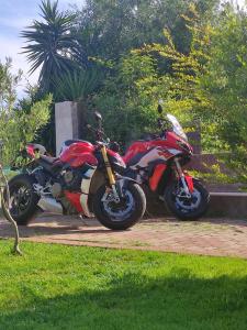 Portoghesi Apt img61