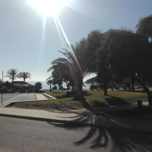 Portoghesi Apt img55