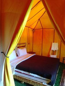 Camp Under Stars