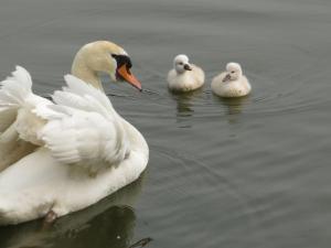 Te Lande, vakantiehuis