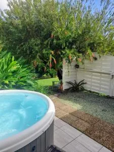 Les Bromélias chez Djo et Rosy - 圣玛丽