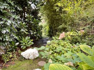 Appartement cosy, indépendant avec jardin
