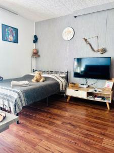 Appartements STUDIO CLIMATISE Le Flot Bleu proche Plages, aeroport, Centre formations, Cap 3000, CERFPA : photos des chambres