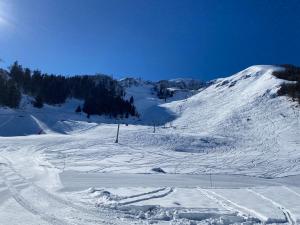 Bel appartement 4 à 6 couchages au pied des pistes à Superbagneres