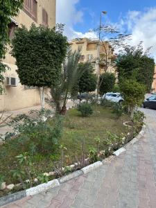 Cozy and Stylish Apartment at New Cairo