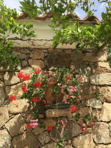 Stazzo Isola Rossa di Gallura