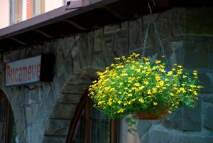 Albergo Bucaneve img21