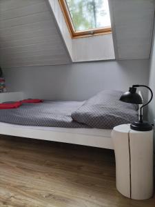 Apartament pod Dębem