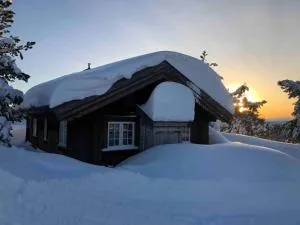 Solehøgda 71. Unik tømmerhytte som er håndlaget - Eggedal