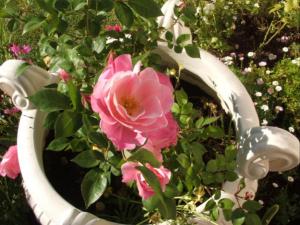 Corner House Accommodation